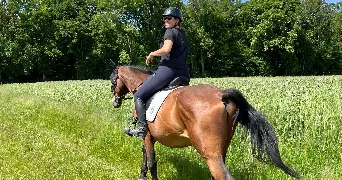 julie pet sitter à NANCY 54000