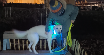 lolaetnoah pet sitter à MONTEVRAIN 77144_7