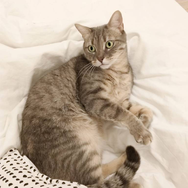 Maria pet sitter à Aix-en-Provence 13100_7