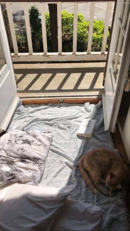 Maémi pet sitter à Paris 75003_2