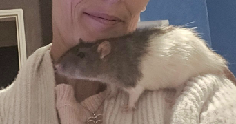 berangere pet sitter à GUERANDE 44350_1