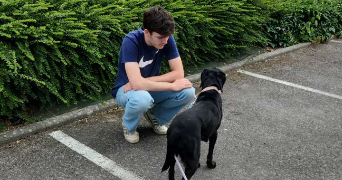 axel dog sitter à INGRANDES LE FRESNE SUR LOIRE 49123_2