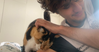 alban pet sitter à CHAVILLE 92370_2