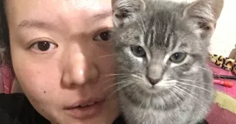 jina cat sitter à NOISIEL 77186