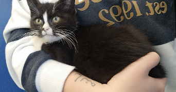 manelle pet sitter à LIÈGE 4000_4