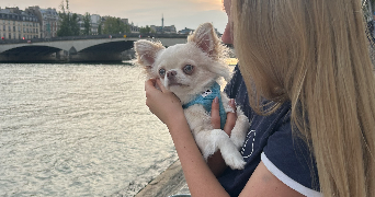 hanna pet sitter à PARIS 17 75017_1