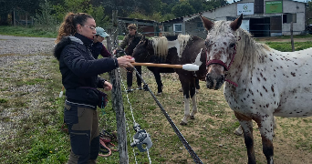 julie pet sitter à PARIS 19 75019_0