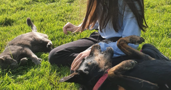 anaëlle pet sitter à VERRIERES EN ANJOU 49480_4