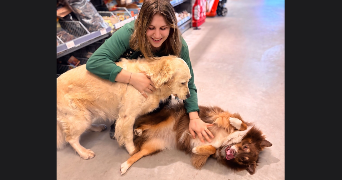 camille pet sitter à ST LUNAIRE 35800_1