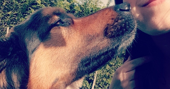 déborah pet sitter à VILLERS ALLERAND 51500_1