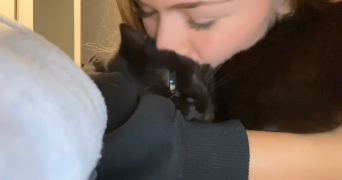 angelina pet sitter à LILLE 59800_3