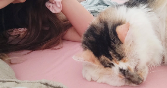 lola pet sitter à NIMES 30000_2