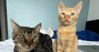 dorine pet sitter à NANTES 44100_1