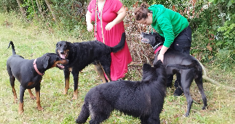 helena pet sitter à NOGENT LE ROTROU 28400_4