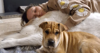 louna pet sitter à BORDEAUX 33000_1