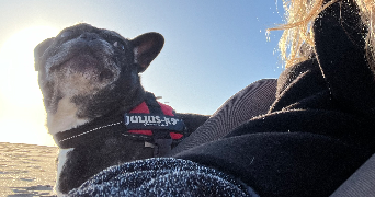aurélie pet sitter à BEZIERS 34500_1