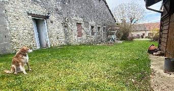 anaëlle pet sitter à LES SOUHESMES RAMPONT 55220_3