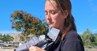 marie pet sitter à VRAIVILLE 27370_0