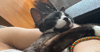 fabienne pet sitter à PARIS 14 75014_3