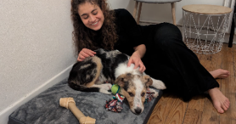 amanda dog sitter à TOULOUSE 31000_0