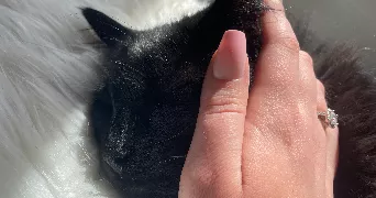 olivia pet sitter à LA TRONCHE 38700