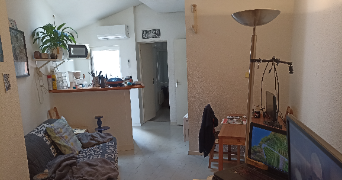 maël pet sitter à TOULOUSE 31300_2