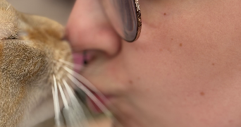 madigan pet sitter à ANNECY 74000_3