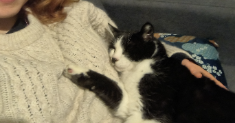 manon pet sitter à BOURG LA REINE 92340_2