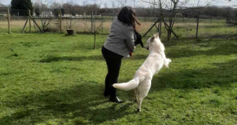 camille pet sitter à FAMPOUX 62118_2