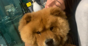 tayna pet sitter à Reims 51000_4