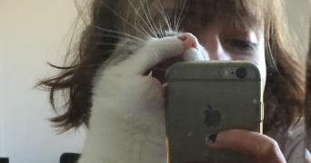 lola pet sitter à MONTBELIARD 25200_3