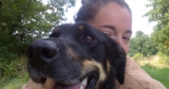 jodie pet sitter à SCRIGNAC 29640_0