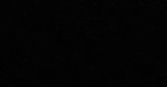 marina pet sitter à ROMAINVILLE 93230