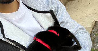 romuald pet sitter à LANEUVEVILLE DEVANT NANCY 54410_1