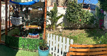 estelle cat sitter à SANARY SUR MER 83110_4