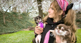 ophelie pet sitter à BOULAY MOSELLE 57220_1