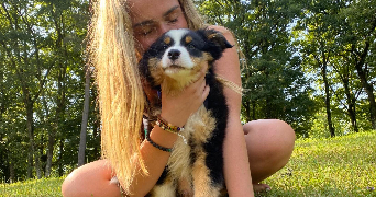 morgan pet sitter à TULLE 19000_0