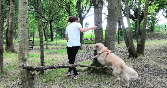 killian pet sitter à LONGUENEE EN ANJOU 49770_2