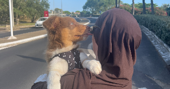 ines pet sitter à ELBEUF 76500_1