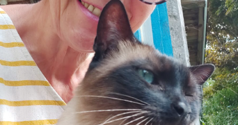 dominique pet sitter à BAZAS 33430_8