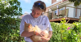 apolline pet sitter à CLEF VALLEE D EURE 27490