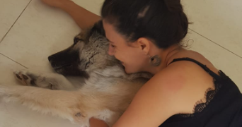 hanaa pet sitter à MONTREUIL 93100_3