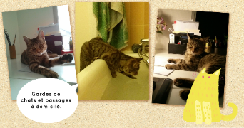 sophia pet sitter à ORLEANS 45000_2