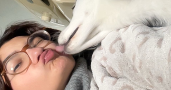 lola pet sitter à GARNAY 28500_0