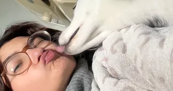 lola pet sitter à GARNAY 28500