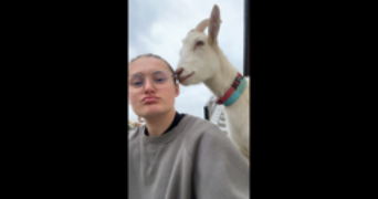 oceane pet sitter à BUXEROLLES 86180_2
