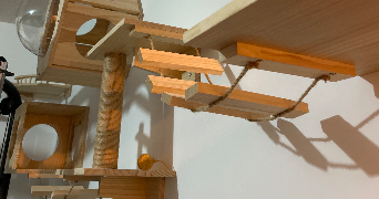 camille pet sitter à Saint Vincent de Tyrosse 40230_9