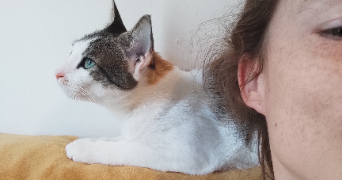 camille pet sitter à PARIS 17 75017_3