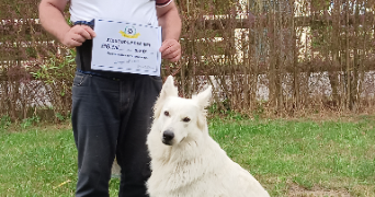 fabien pet sitter à BREUIL LE VERT 60600_1