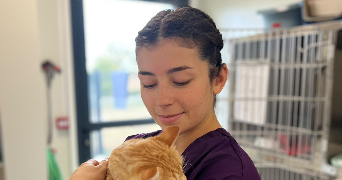 raphaelle pet sitter à Saint Cenere 53150_0